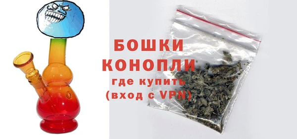 индика Волоколамск