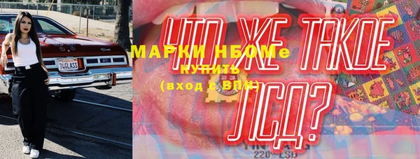 индика Волоколамск