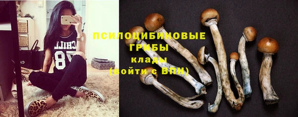 СК Вязьма