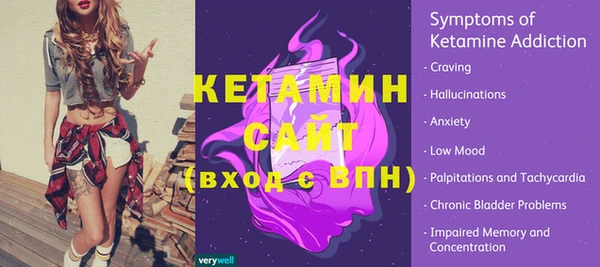 СК Вязьма