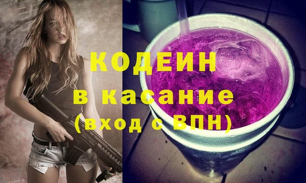 индика Волоколамск