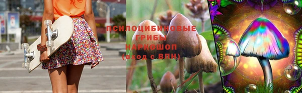 СК Вязьма