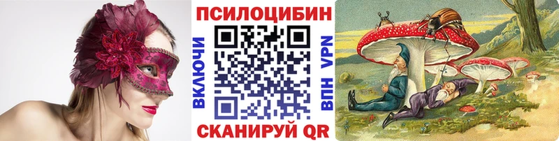 магазин продажи   Махачкала  Псилоцибиновые грибы мицелий 